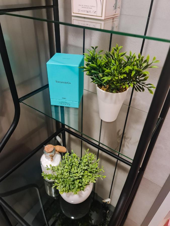New - Apartment Finis セニ エクステリア 写真